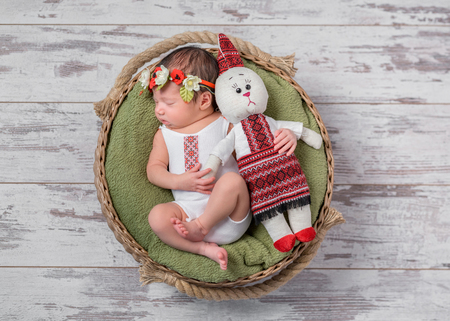 infant girl in Ukrainian costume sleeping in a wicker basket with a toy hareの写真素材