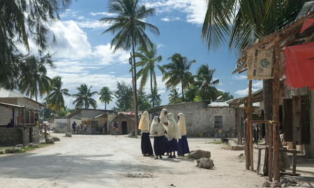 ZANZIBAR, TANZANIYA- JULY 13: group of schoolgirls near old village school on July 13, 2016 in Zanzibar, Tanzaniaのeditorial素材