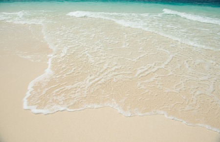 sandy beach and clear transparent sea wave