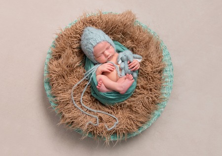 Lovely baby resting in a basket, topviewの写真素材