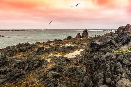 beautiful sunset view of sea from Lanzarote coastの写真素材