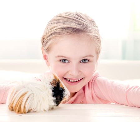 Smiling little girl hugging guinea pigの写真素材