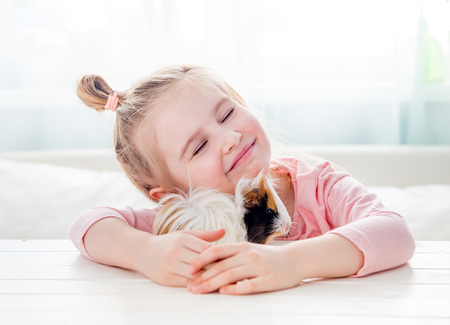 Smiling little girl hugging guinea pigの写真素材