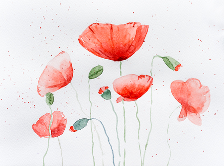 Natural drawing of poppy flowersの写真素材