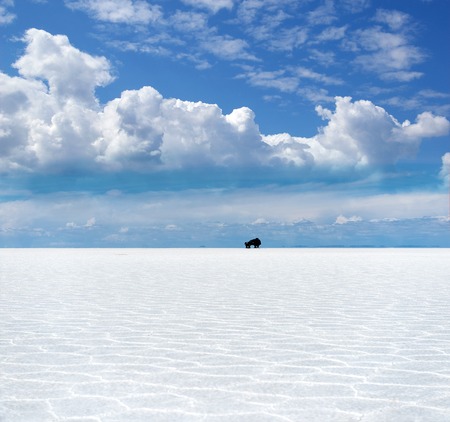 Off-road car ride in salt lakeの写真素材