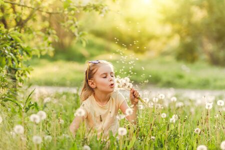 Girl blowing at dandelionsの写真素材