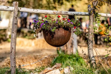 Beautiful flowers blooming in pot on wooden rack outsideの写真素材