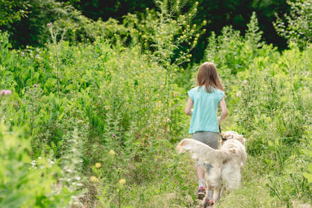 Little girl walking dog on meadow