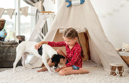 Little girl with fox terrier dogの写真素材