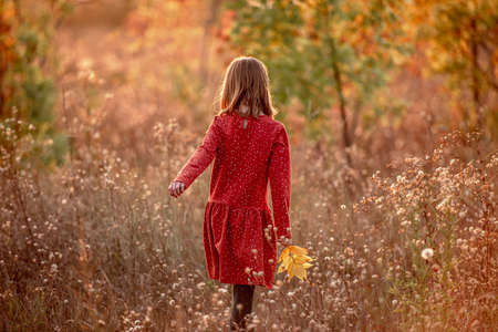Smiling little girl with autumn leavesの写真素材