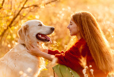 Young girl petting dog in natureの写真素材