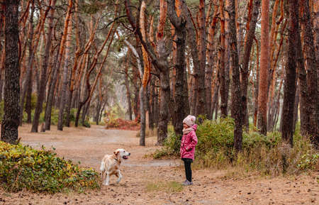 Little girl walking with dog in pine woodの写真素材