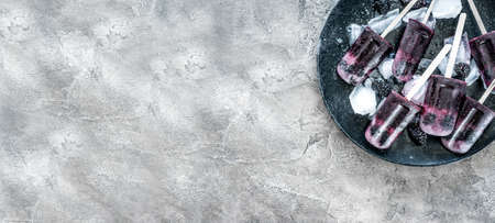homemade fruit ice cream with mulberry