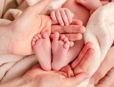 Bare feet of newborn surrounded by family members handsの写真素材