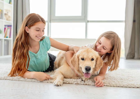Children palming golden retriever at homeの写真素材