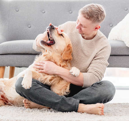 Man sitting with golden retriever dogの写真素材