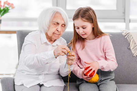 Grandmother and granddaughter knittingの写真素材