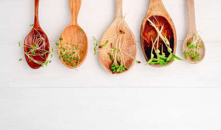 Microgreens in wooden spoon
