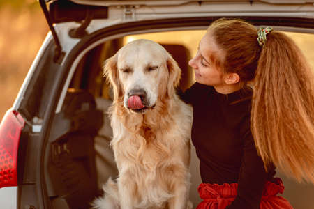 Young girl with dog in car trunkの写真素材