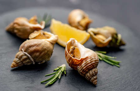 Snails with lemon on black platterの写真素材