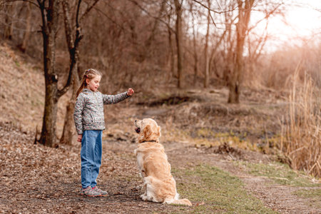 Preteen girl with golden retriever dogの写真素材