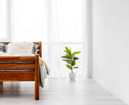 Modern interior with bed