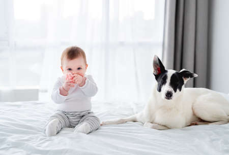 Child with dog in the bed