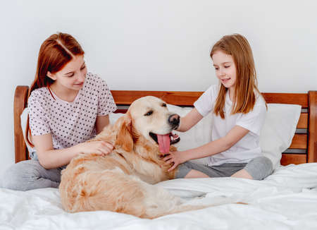 Girls with golden retriever dog in the bedの写真素材