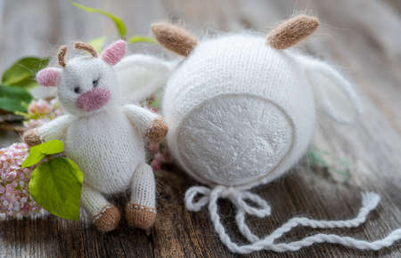 Newborn clothes compositionの写真素材