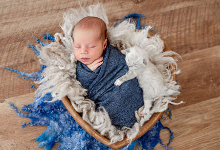 Newborn sleeping with kittenの写真素材