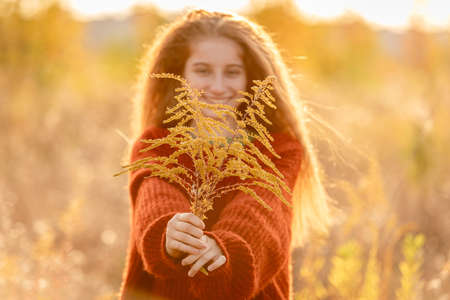 Autumn flowers in young girl handsの写真素材