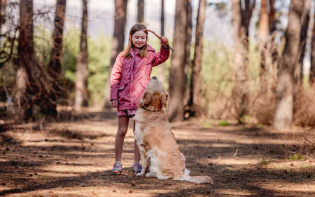 Little girl with golden retriever dogの写真素材