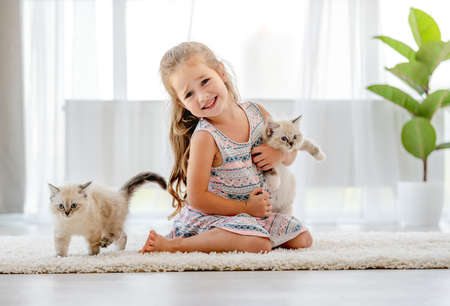 Girl with ragdoll kittenの写真素材