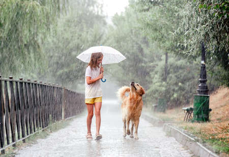 Girl with golden retriever dog in rainy dayの写真素材