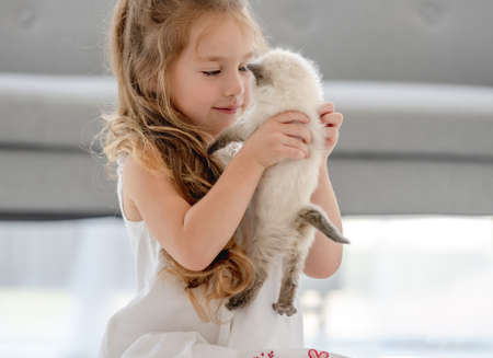 Girl with ragdoll kittenの写真素材