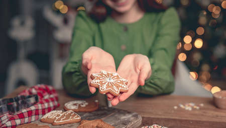 Decorated gingerbread snowflake on girl palmの写真素材