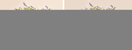 Newborn baby studio decorationの写真素材