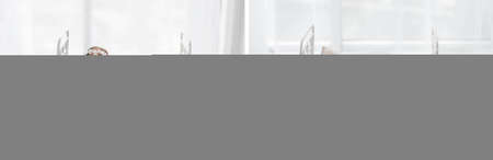 Newborn baby studio decorationの写真素材