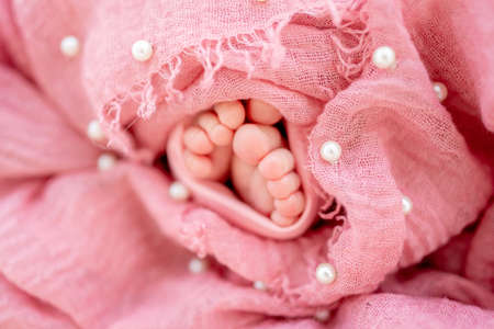 Newborn baby feet portraitの写真素材