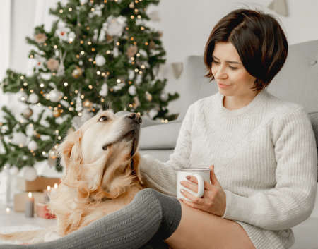 Girl with cocoa and golden retriever dogの写真素材