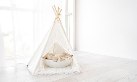 Hut decoration for pet photoshootの写真素材
