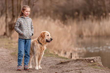 Preteen girl with golden retriever dogの写真素材
