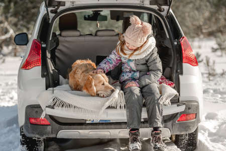 Golden retriever dog with girl in winter timeの写真素材
