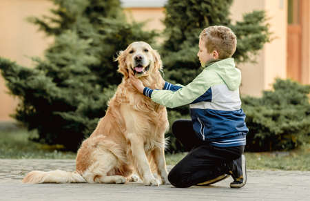 Preteen boy with golden retriever dogの写真素材