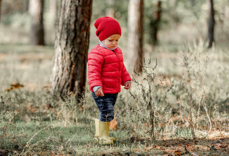 Little girl walking in the forestの写真素材