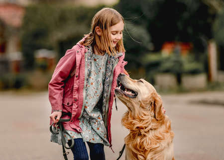 Girl and golden retriever dogの写真素材