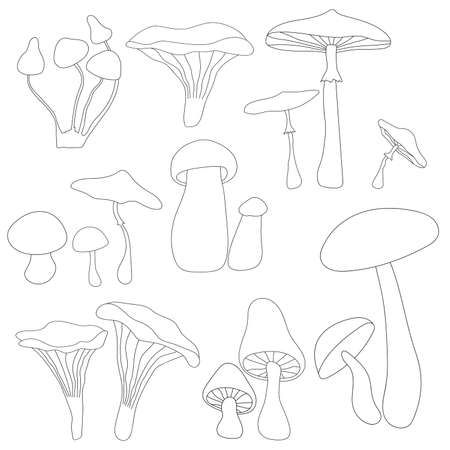 Autumn mushroom paintingsのイラスト素材