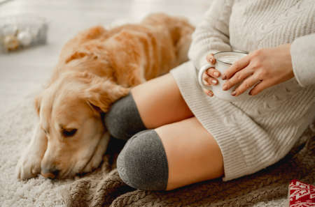 Girl with cocoa and golden retriever dogの写真素材
