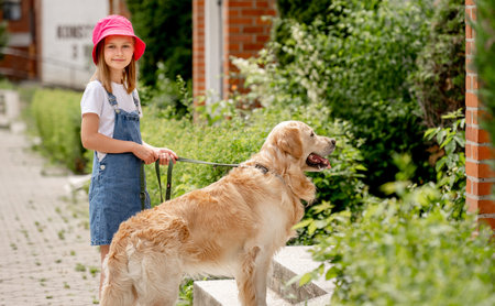 Preteen girl with golden retriever dog walking outdoorの写真素材