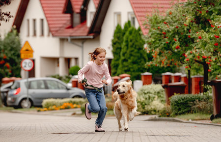 Preteen girl with golden retriever dogの写真素材
